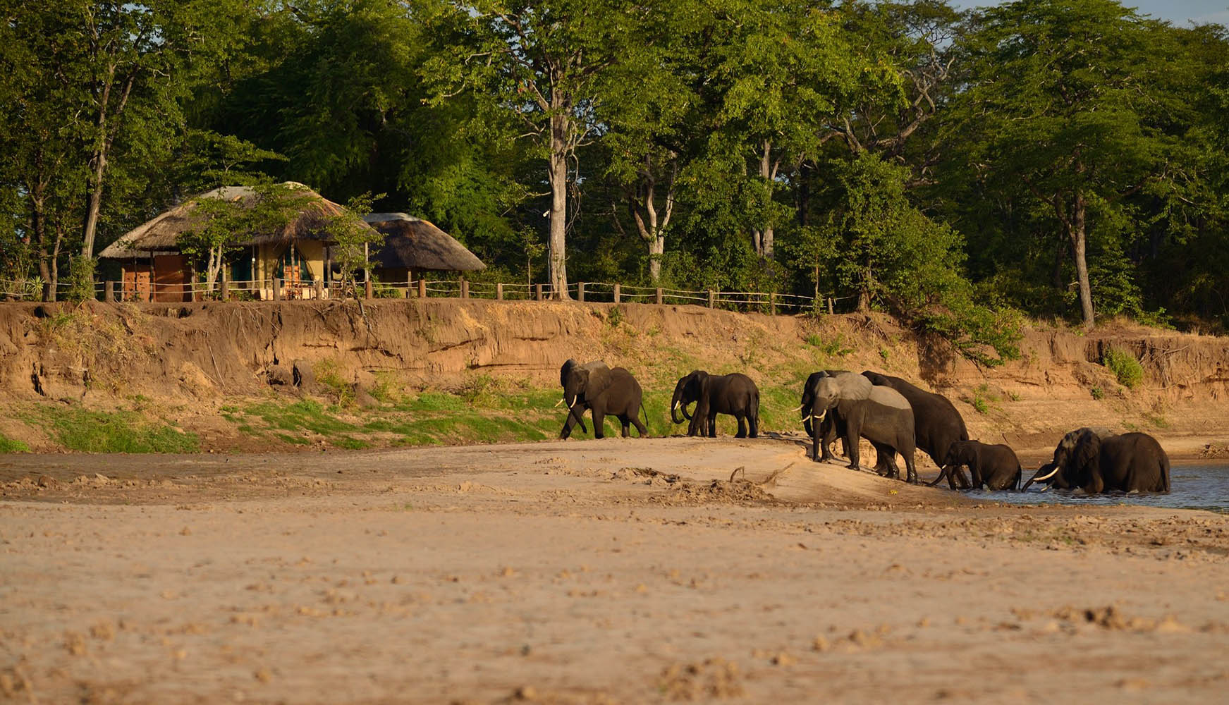 wet-wild-south-luangwa-lake-malawi-11-nights-bush-beach-safaris-tours-malawian-style-specialist-tour-operator-travel-explore-malawi-wildlife-camp-south-luangwa-elephants